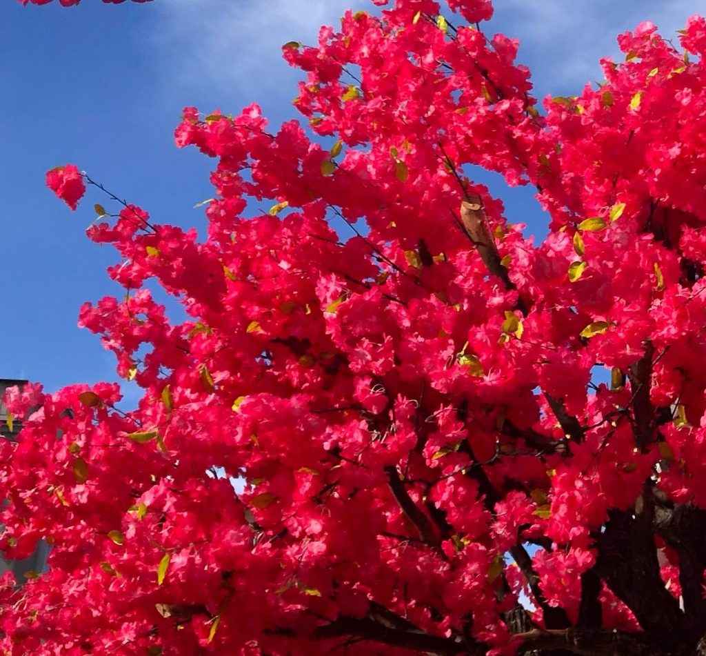 The Power of&nbsp;Pausing