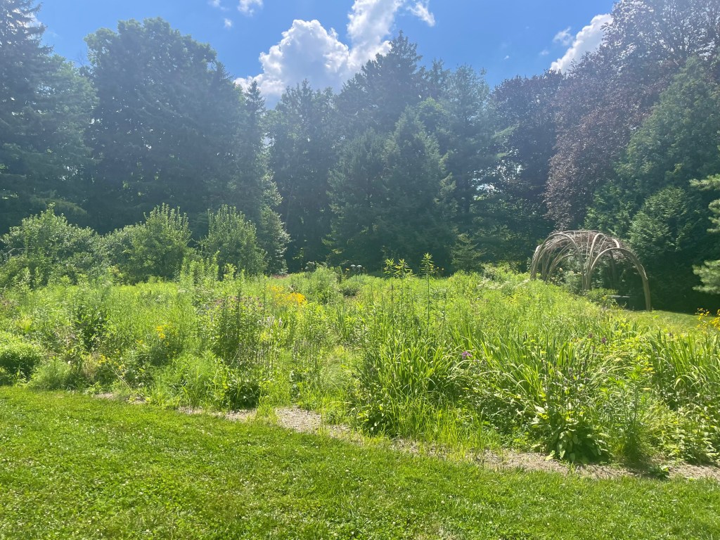 The Platform I’m&nbsp;Building