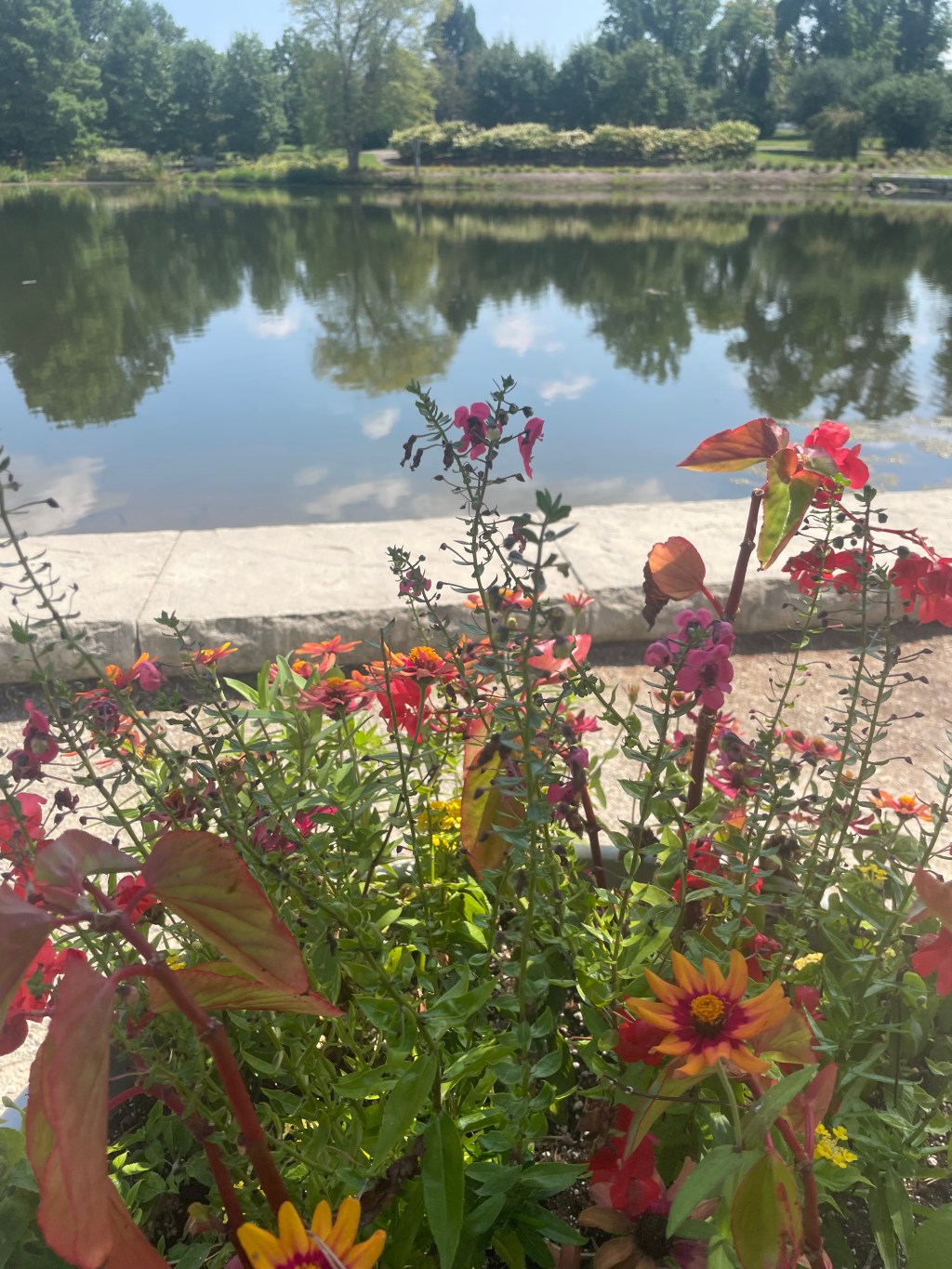 Spirit Over Survival